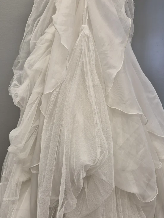 Pronovias Alcanar Lace & Tulle A-Line Wedding Dress - US 12 - Bustle Ready - Picture 6 of 16